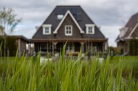 Steeds meer Nederlanders gooien hun tegels eruit voor groen